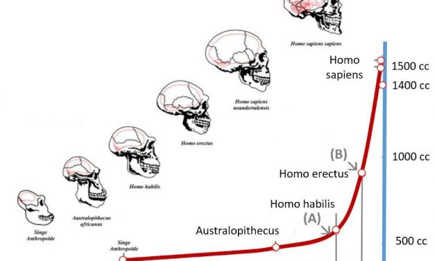 Еволюционното развитие на човешкия мозък