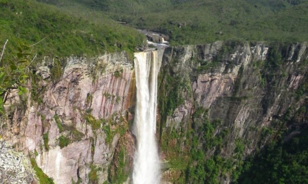 Три седмици в дъждовната гора на Амазония
