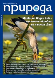 Брой 2/2025 г.